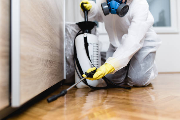Best Best Pest Control Companies  in Yakima, WA