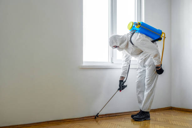 Best Flea Control Services  in Yakima, WA