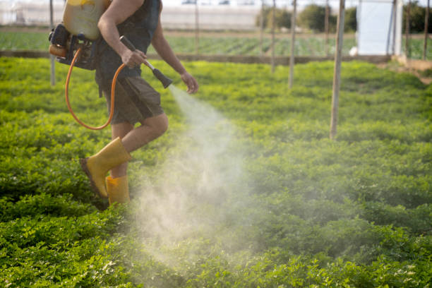 Best Wasp Removal Services  in Yakima, WA