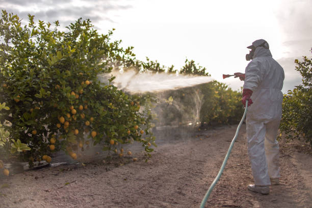 Best Pest Inspection Near Me  in Yakima, WA