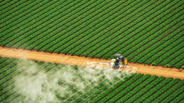 Best Mosquito Control Services  in Yakima, WA