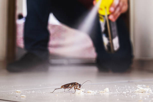 Best Residential Pest Control  in Yakima, WA