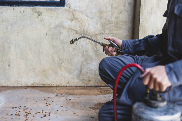 Best Affordable Pest Control Services  in Yakima, WA
