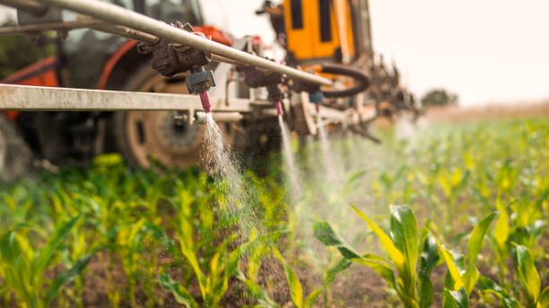 Best Ant Control Services  in Yakima, WA