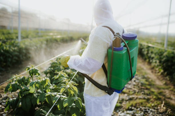 Best Best Pest Control Companies  in Yakima, WA